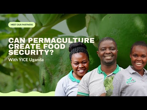 Help a Refugee Mother Feed Her Children