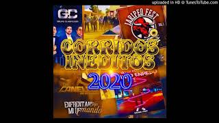 El Aguila Real - Laberinto