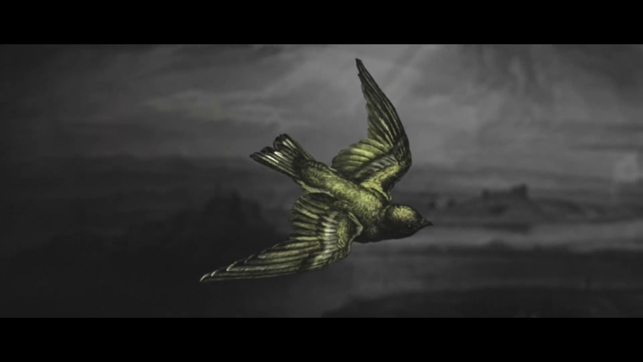 OFFICIAL CANARY TEASER #1