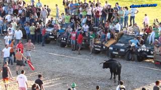 preview picture of video 'Vaca das cordas 2014 - Ponte de Lima.'