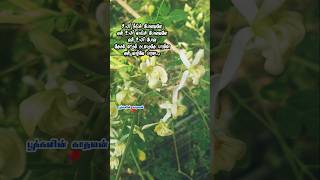 Download lagu உயிர் நீங்கி போனவளே.,,, #feeling #love #song #பூக்களின் காதலன்🥀🌺 @giramathaan mp3