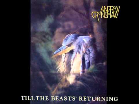 Andrew Cronshaw - Wasps In The Woodpile (HQ Audio)