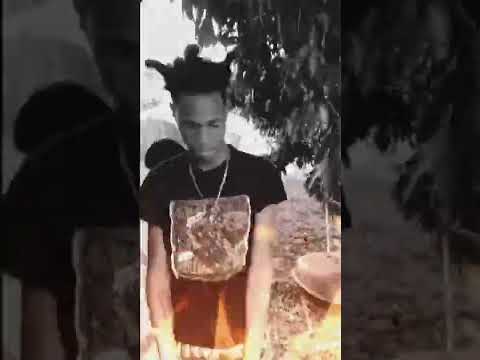 Roadkillbunt snippet