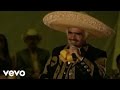 Vicente Fernández - Por un Amor (En Vivo)