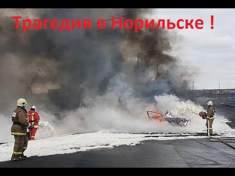 Смотреть видео на alushta24.org