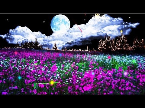 2 Hours Piano Lullaby - Lullabies for Babies to Sleep - Baby Bedtime Music - Lullabies