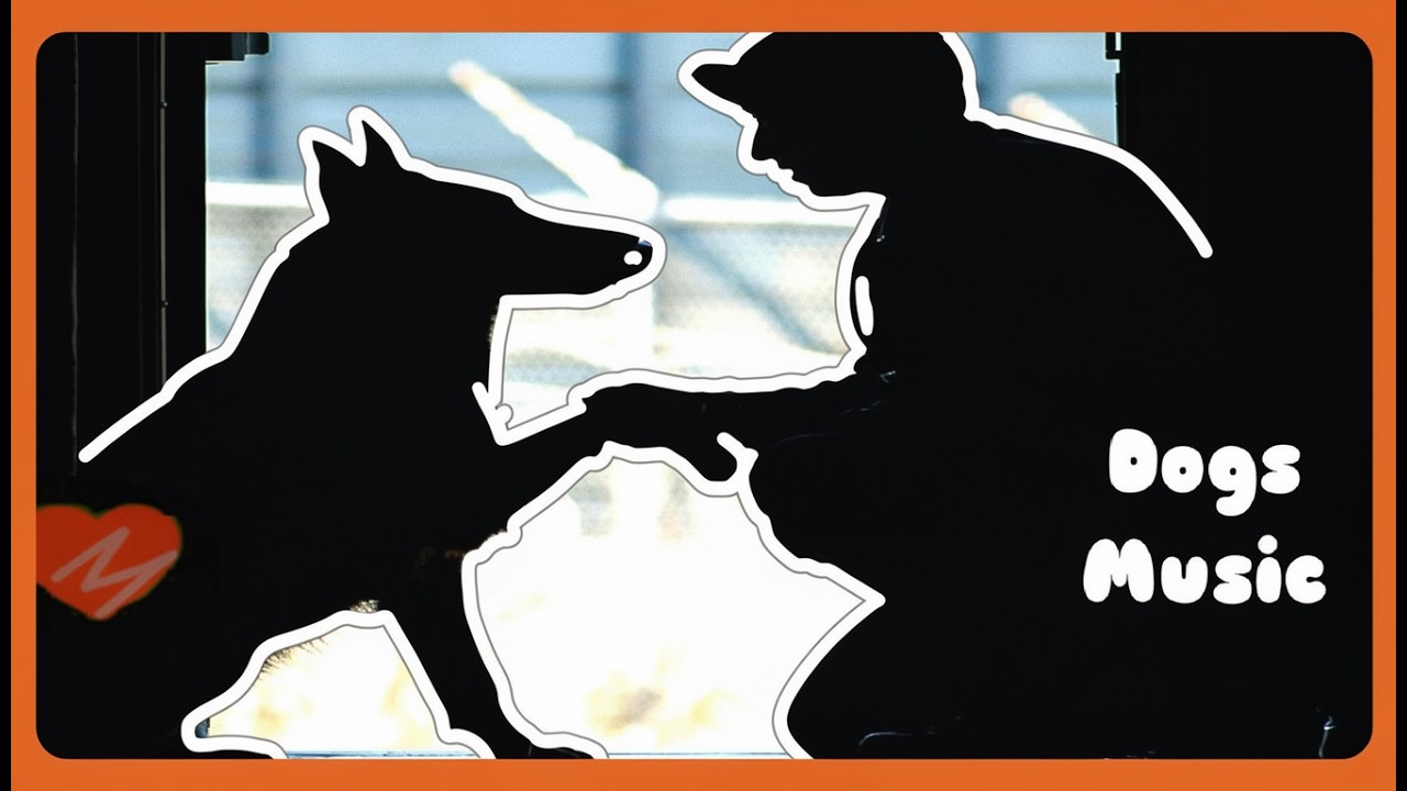 música clássica para curar cães e gatos doentes, sons relaxantes pela cura de um animal