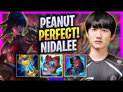 PEANUT PERFECT GAME WITH NIDALEE! - HLE Peanut Plays Nidalee JUNGLE vs Ekko! | Season 2025