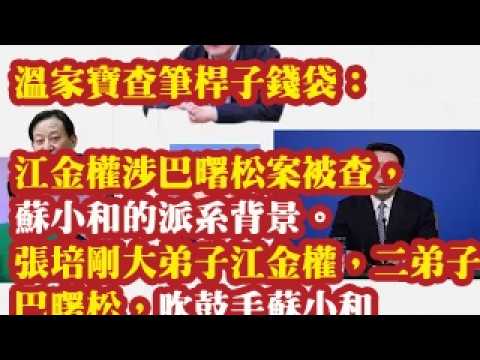 温家宝查笔杆子钱袋子：江金权涉巴曙松案被查， 苏小和的派系背景。张培刚大弟子江金权，二弟子巴曙松，笔杆子+吹鼓手苏小和