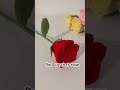 Red Rose Crochet Rose Handmade Flower Bouquet Crochetbouquet Mochoa Crochetrose