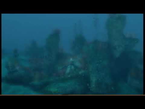 tomb raider underworld xbox 360 avis