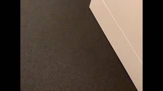 Step Dad Singing In Shower