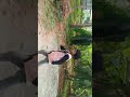 Valaya Virichi Veesu Song