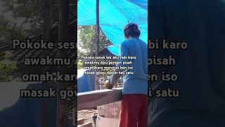 Download lagu Pokoke sesuk lek aku rabi karo awakmu Aku pengen pisah omah karo morotuo ben #dj mp3
