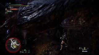 永遠に咆哮される人[MHW]