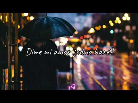 Cómo Haré 😊 Fer Ángel Ft Miguel Ángel El Genio Letras PO P