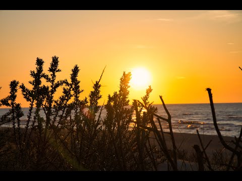 Halbinsel Hel -SUMMERmoments-
