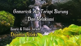 Download lagu GEMERICIK AIR TERAPI BURUNG Terapi air untuk semua... mp3