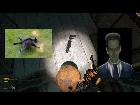 Half-Life 2: Pseudomod is an interesting experience