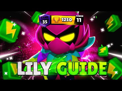 THE ONLY LILY GUIDE YOU'LL EVER NEED!