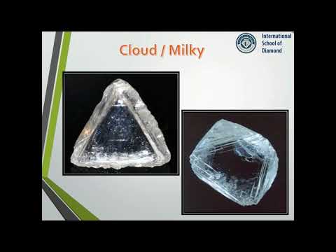 Rough Diamond inclusions | ISD - International School of Diamond | Rough Diamond