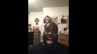 Ledisi &quot;Alone&quot; cover (again)