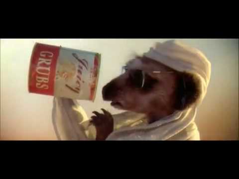 Compare the Meerkat - Advert 6
