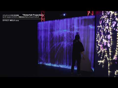 死んだトゥジャスを何で置き換えるか 人間の活動 植物種の死の原因となる気候温暖化