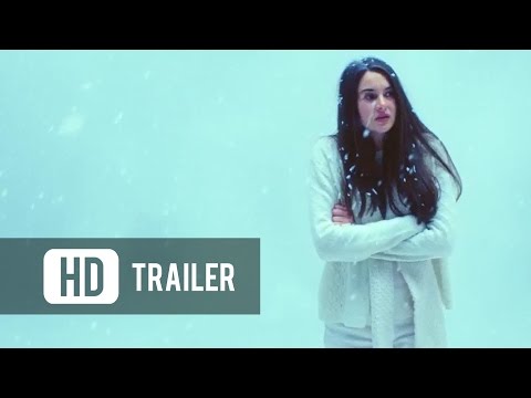 White Bird in a Blizzard