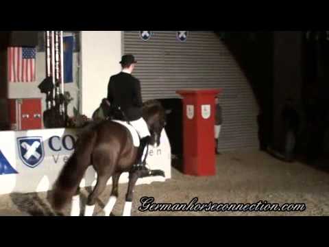 Floriscount.VER.2011.wmv