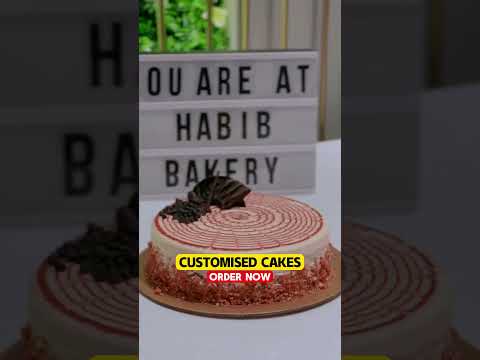 Which one would you choose ?