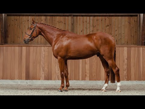 Try Me de Wiqui - Standing