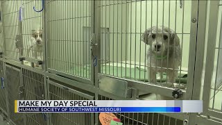 Humane Society hosts 'Make My Day' for discounts on pets