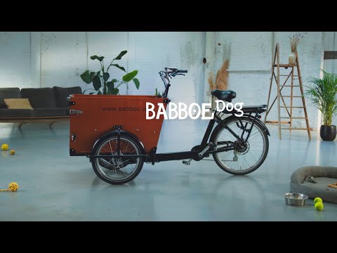 Triporteur électrique Babboe Dog-E - Moteur GWA Energy 250W - Dérailleur Shimano 7 vitesses_5