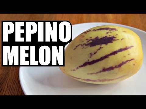 PEPINO MELON | Fruity Fruits Taste Test