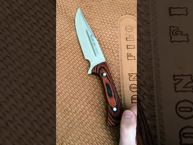 Vídeo relacionado con Muela Cuchillo Jabali JABALI-17E hoja de acero MoVa de 17 cm y empuñadura de madera coral para Caza, Pesca, Supervivencia y Bushcraft - Realizado en Ciudad Real