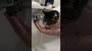 暑いのでしっかり水分補給しましょう