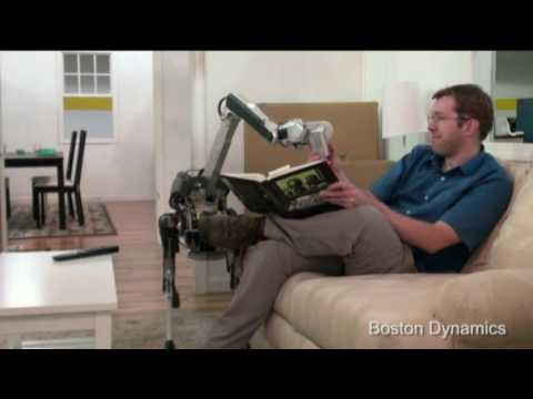 Video: Boston company builds robot dog that does dishes