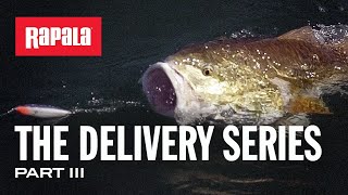 Rapala Skitter Walk 08 BG