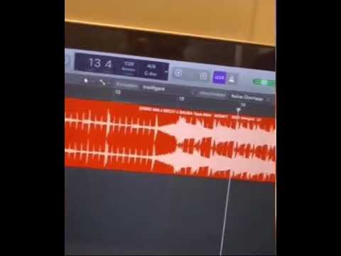 Wie macht man einen RIN Song #novembres #shorts