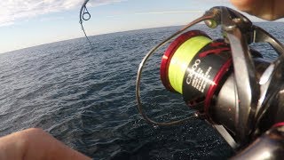 Shimano 16 stradic ci4 c3000