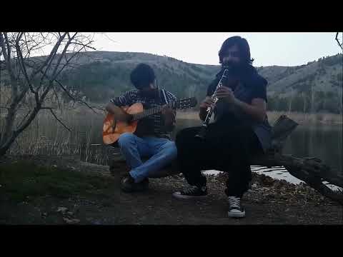 Yeşil Başlı Gövel Ördek - Koray Avcı
