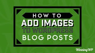 How to Add Images to WordPress Blog Posts and Pages