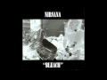 Nirvana - Downer [Lyrics]