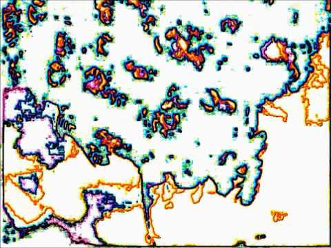 GREAT CHARITY SHOP FINDS No 46 - ENGLISH COUNTRY FOLK SINGER