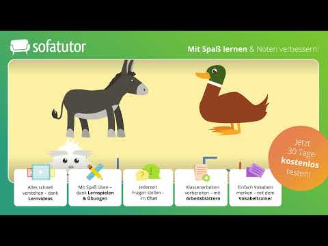 Was sind Selbstlaute, Doppellaute und Umlaute? einfach erklärt – Deutsch 1. & 2. Klasse