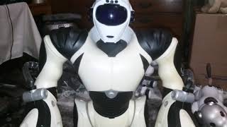 Download lagu WowWee Robosapien V2 Store Display Obtained! mp3 Download lagu WowWee Robosapien V2 Store Display Obtained! mp3