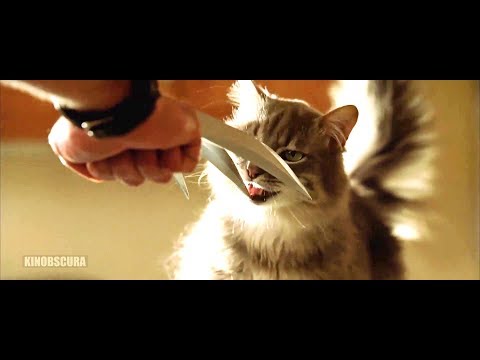 X2: X-Men United (2003) -  Cat Licking Claws