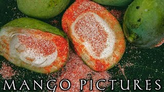Tasty / Mango / HD pictures ❤♥