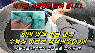 거름망으로 비료 녹여 점적관수하기!! 액상비료는 너무 비싸요~ 관주용비료 대신하기!!